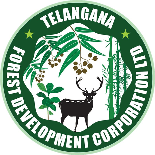 Virtual Wildlife Safari Logo